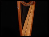 Corall Harps