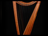 Corall Harps