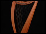 Corall Harps