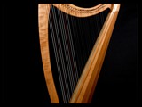 Corall Harps