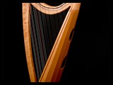 Corall Harps